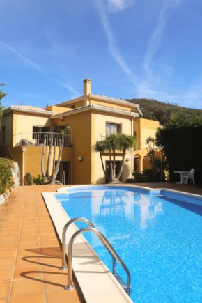 Casa das Oliveiras - OLIVE TREE